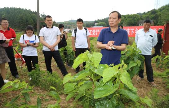 说明:E:\周丽华\农工党建设\2018年支部参加的活动\万乐村活动\曾志峰拍照\新闻稿用照片\IMG_3509.JPG